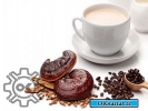 نمایندگی قارچ و قهوه گانودرما