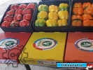 ایران کارتن پلاست تولید کننده انواع شیت و رول کارتن پلاست و محصولات تبدیلی