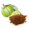 عصاره گارسینیا کامبوجیا
