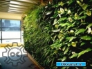 باغچه عمودی-دیوار سبز ( اوکی صنعت مرجع ثبت آگهی رایگان صنعتی )