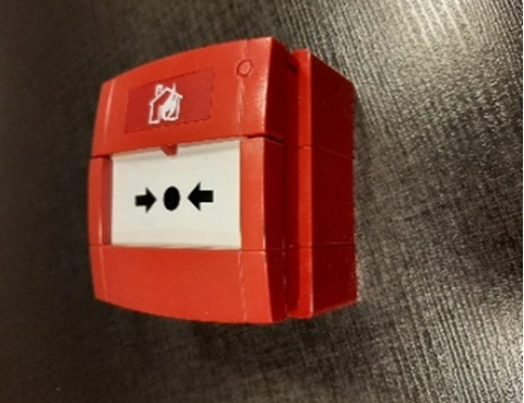 zo-th-1